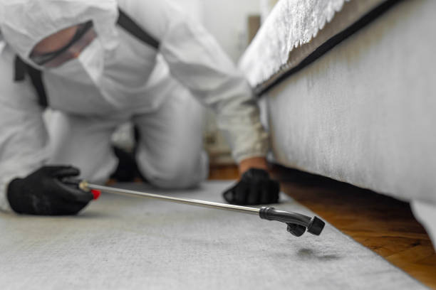 Professional Pest Control technician working in Logan County County, WV